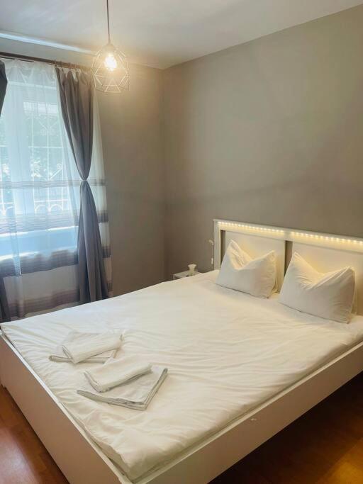 Chic Retreat Timisoara公寓 外观 照片