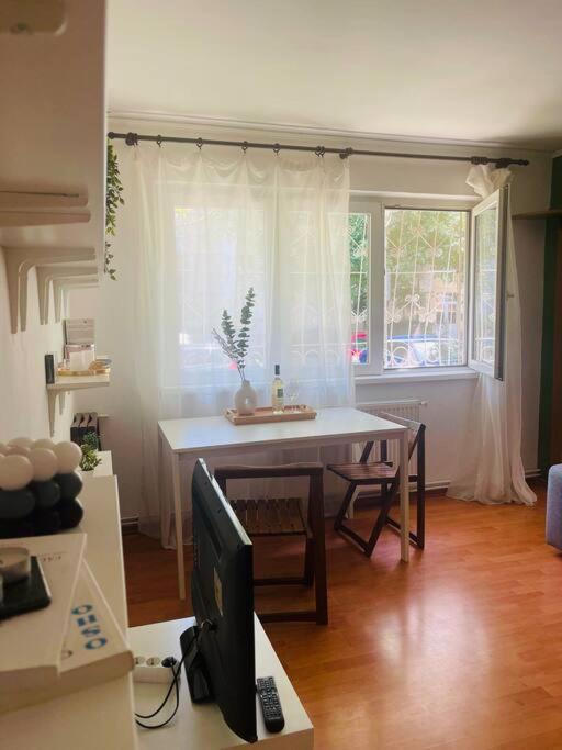 Chic Retreat Timisoara公寓 外观 照片